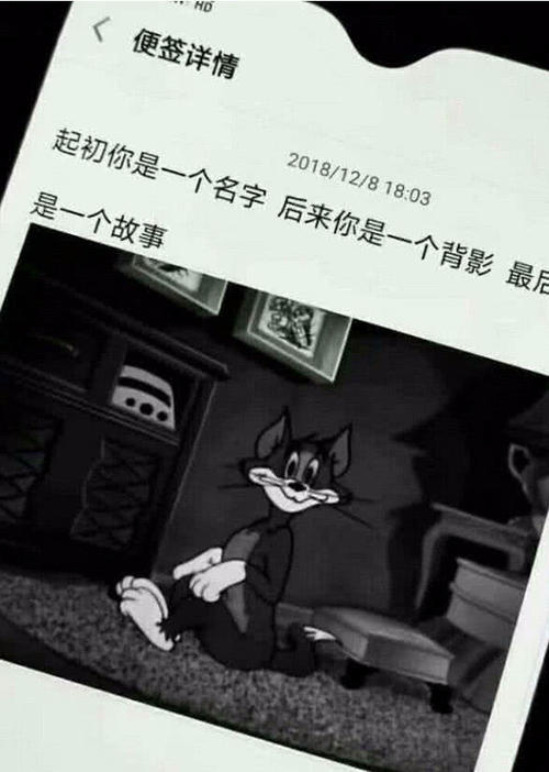 我永远不会忘记你