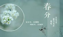 二十四节气春分征文