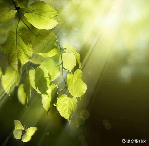 每天太阳从我的窗户升起