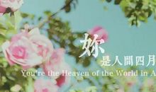 你是我的人间四月天