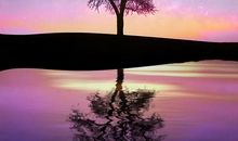 平凡的母亲，伟大的母爱