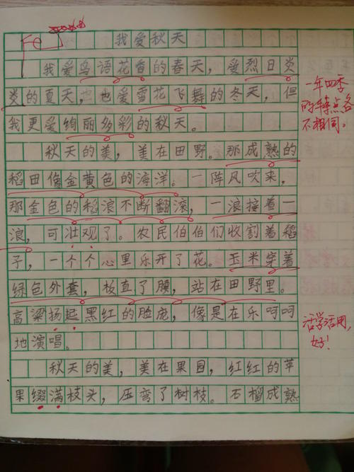 2020年春节作文600字