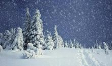 雪花纷飞的日子