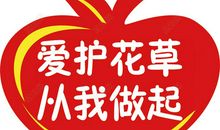 爱护花草，从我做起
