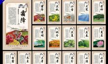 写二十四节气的作文