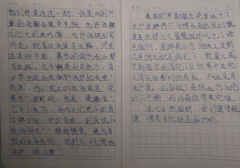 父亲和儿子看着照片，在中午写有关二年级的午餐