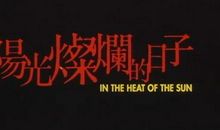 那些阳光灿烂的日子