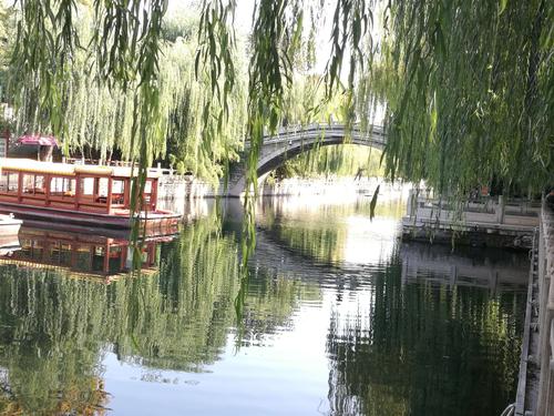 美丽的礁龙井