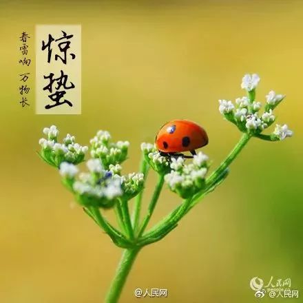 静者游记