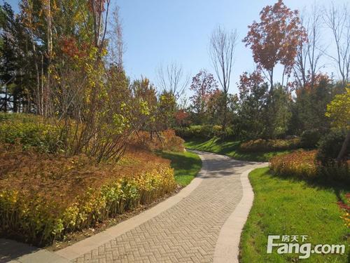 我秋天的小花园