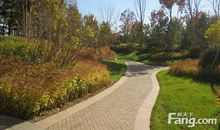 我家秋天的小花园