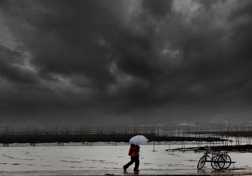 风雨成长之路
