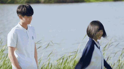 谁背叛了刺猬
