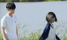 是谁出卖了刺猬续写