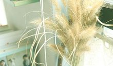 那个带给我温暖的人