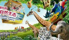 快乐的济南野生动物园之旅