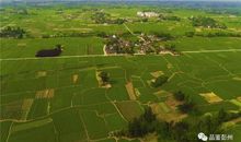 老家的一年四季