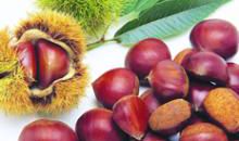 金秋时节打板栗