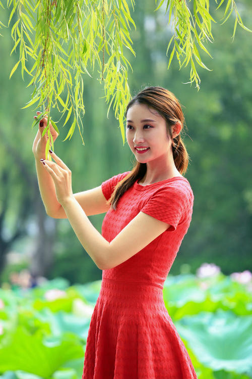 美丽的风景
