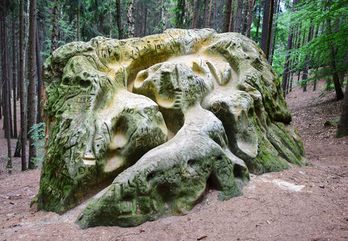 乡村树林