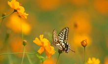 藏在时光里的微感动