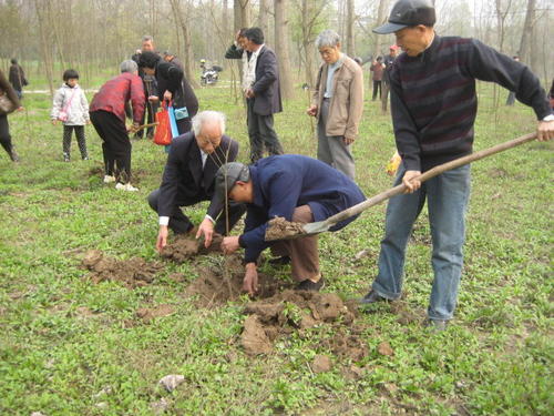 有趣的植树活动