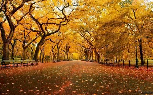 听宽容的轻声唱歌