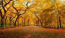 聆听宽容的轻唱