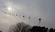 放飞人生的梦想