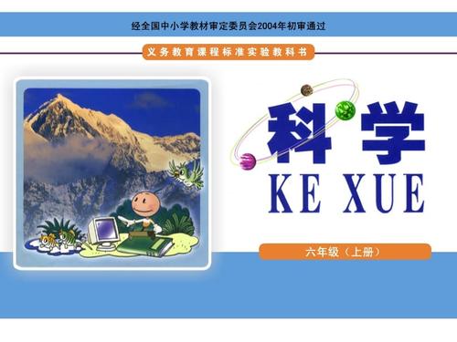 一棵结实的小树
