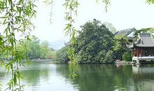 淡妆浓抹总相宜