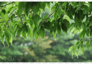 雨声