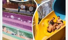 这个冬天真好玩