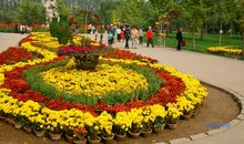 美丽的植物公园