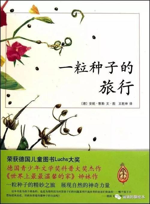 在我的心里种下一颗种子
