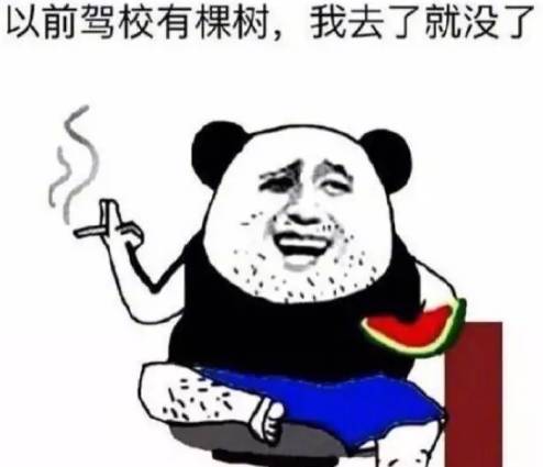 原来我也很好