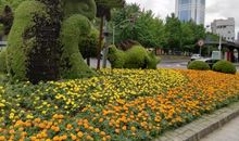 一个特别的日子