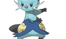 藏在口袋中的双刃剑