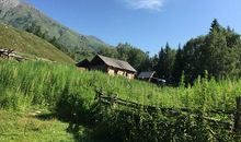 让那缕炊烟充满味道