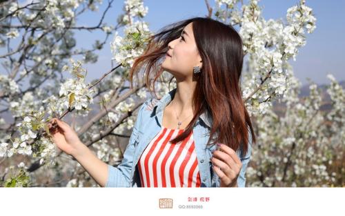 那年梨花盛开