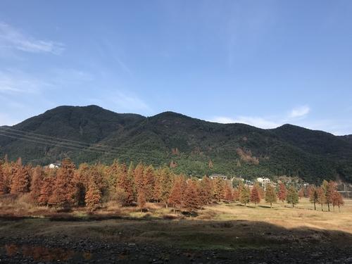 古道暖阳