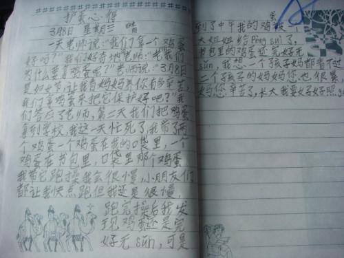 保护鸡蛋的想法