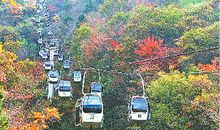 轻启小窗观秋色