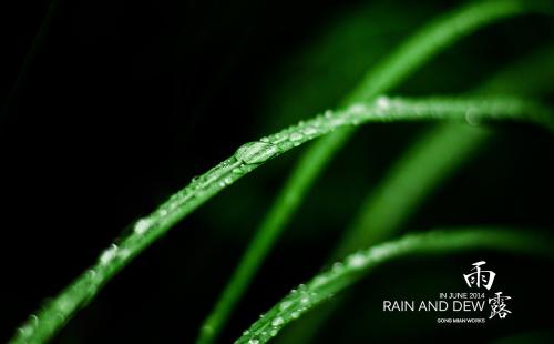 雨季