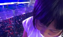 难忘的一次购物经历