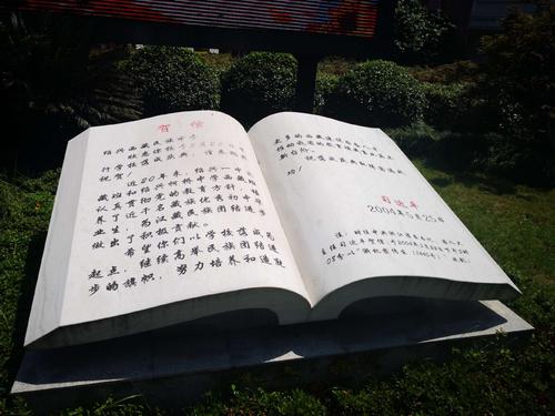 回到草更绿的地方