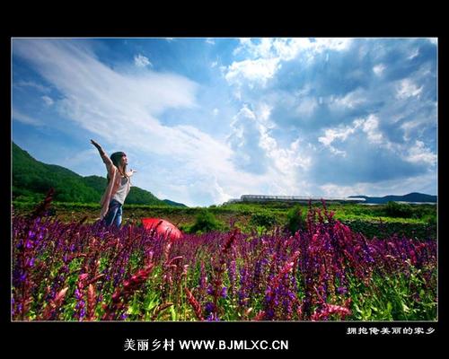 我拥抱故乡的那一刻