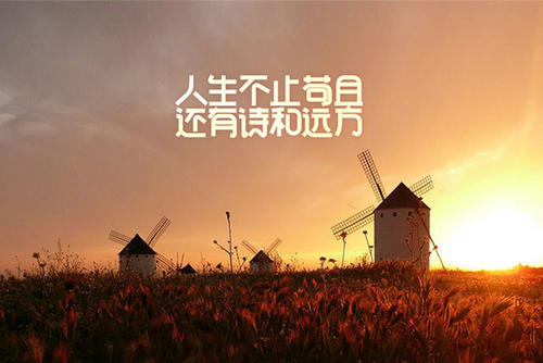 我的《诗与距离