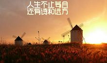 我的“诗和远方