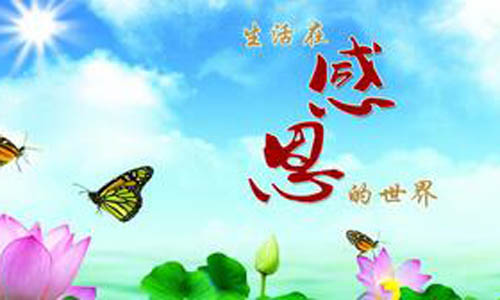 从生活中学习感恩